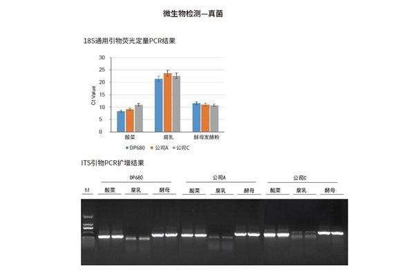 深加工食品及酵母样本DNA提取真菌检测验证 DP680 qPCR与ITS扩增结果